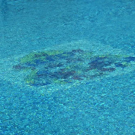 Agroturismo Tenuta Marchesi Fezia *