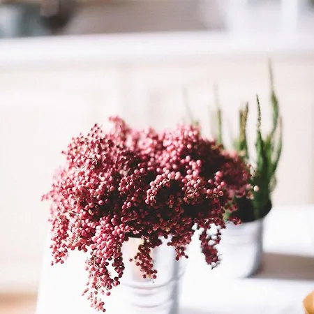 Tenuta Marchesi Fezia Agroturismo *