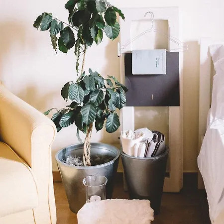 Tenuta Marchesi Fezia Agroturismo *