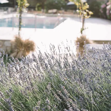 Agroturismo Tenuta Marchesi Fezia Narni