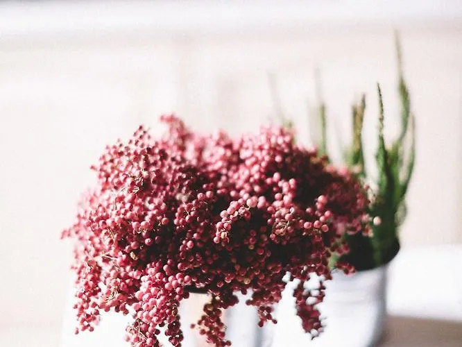 Tenuta Marchesi Fezia Фермерский дом *