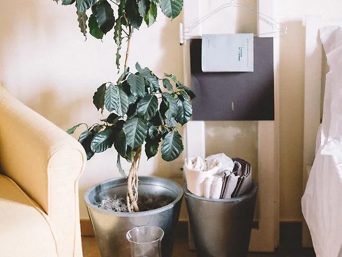 Tenuta Marchesi Fezia Фермерский дом *