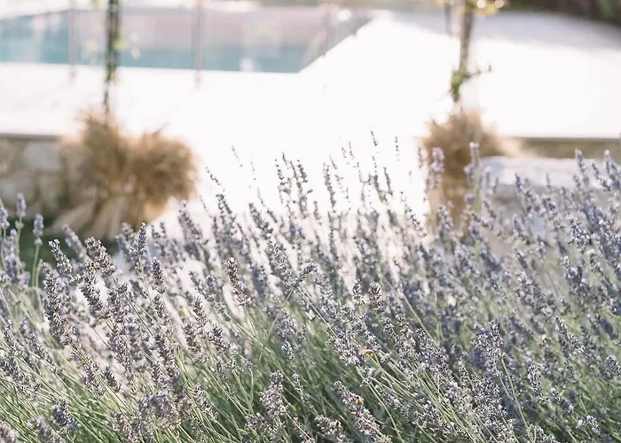 Фермерский дом Tenuta Marchesi Fezia Нарни